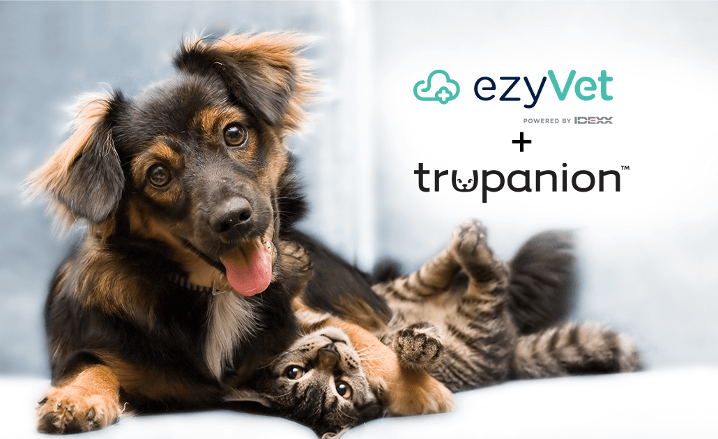 Ezy Vet Trupanion blog 1030x630