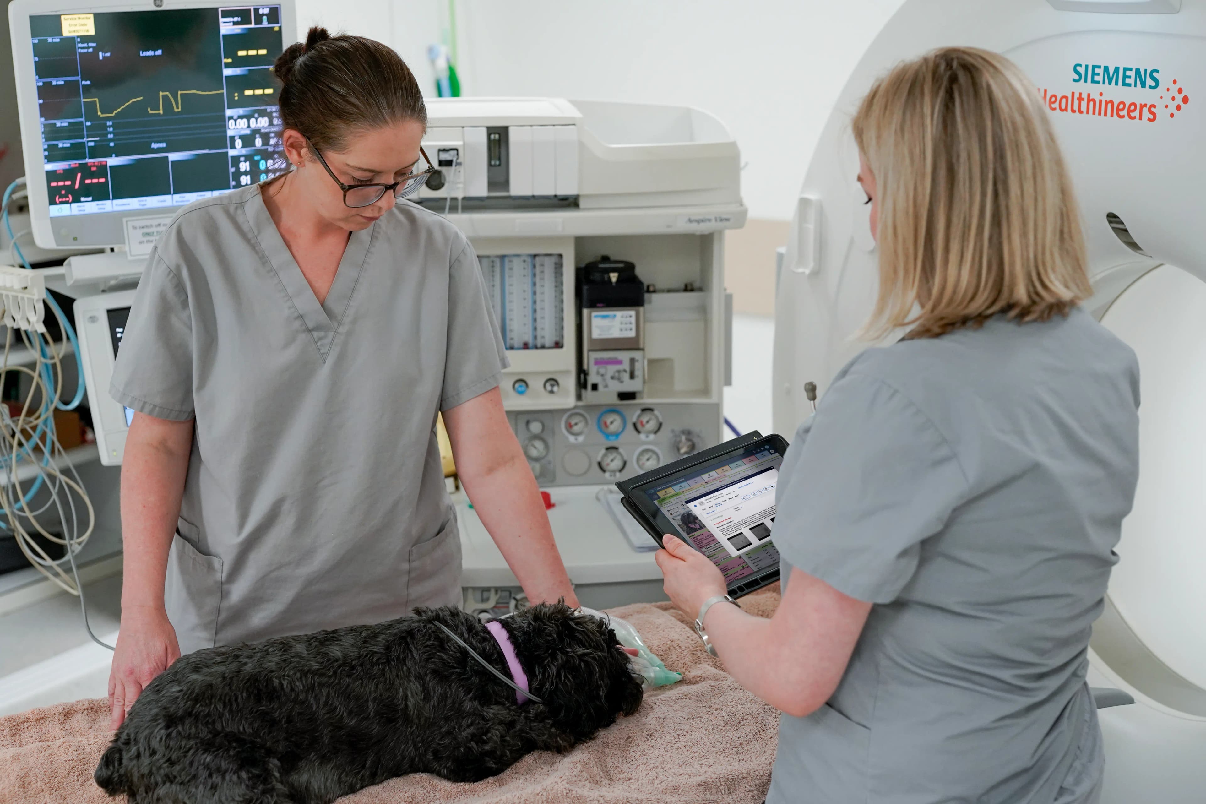 Two women examining a dog