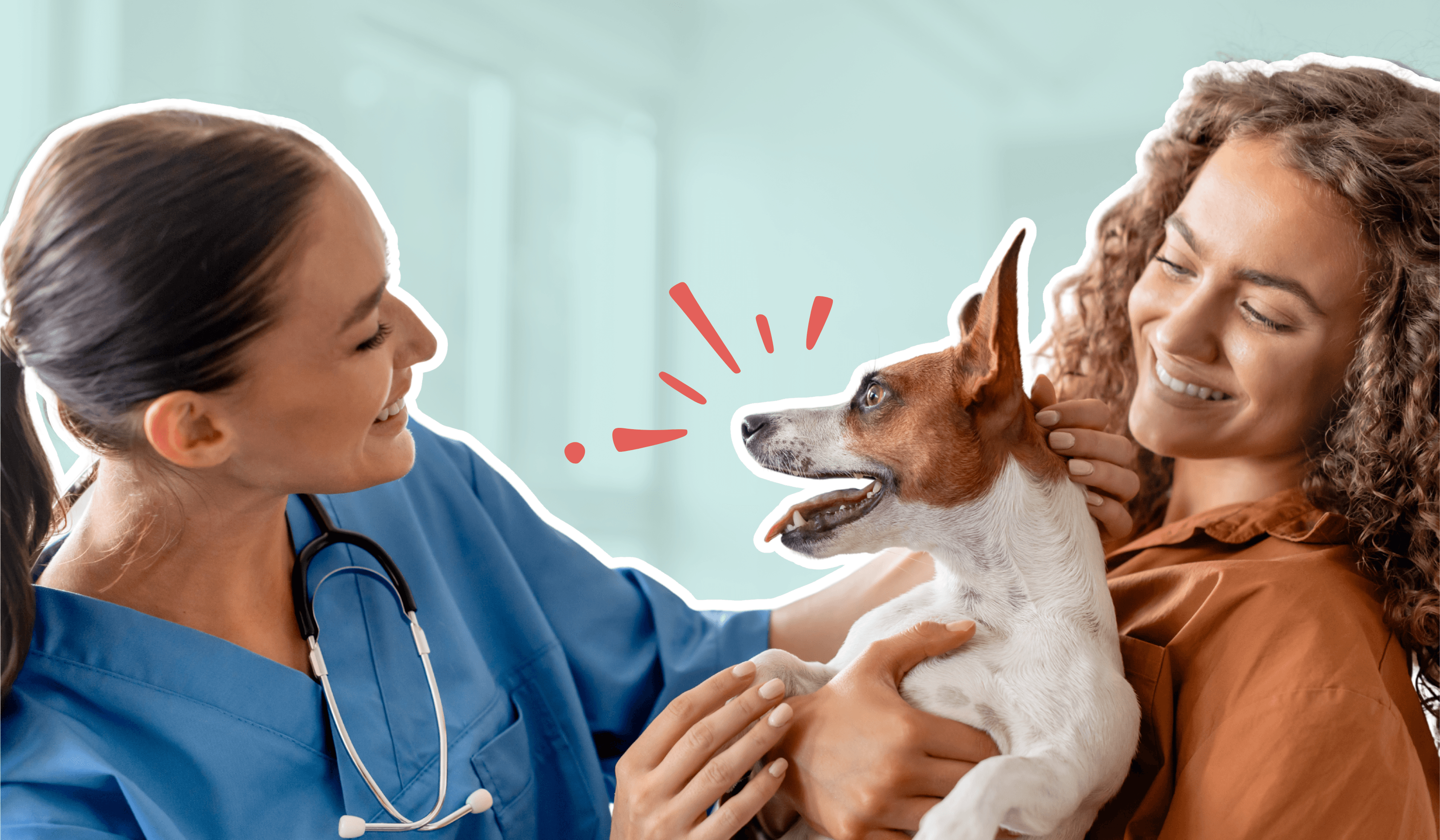 Happy vet team 1030 x 630