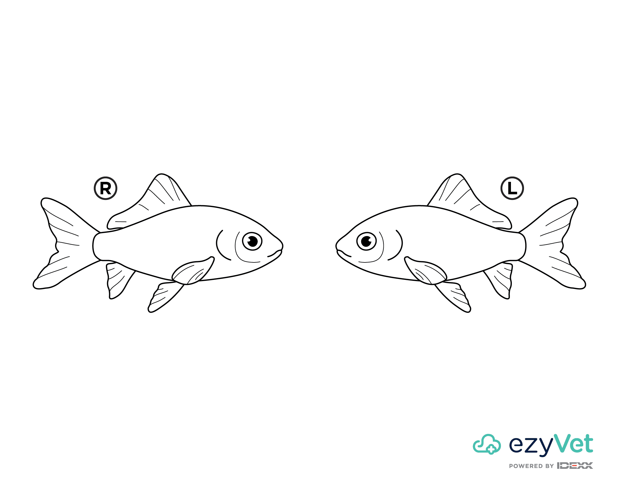 Goldfish Body Map for Annotation