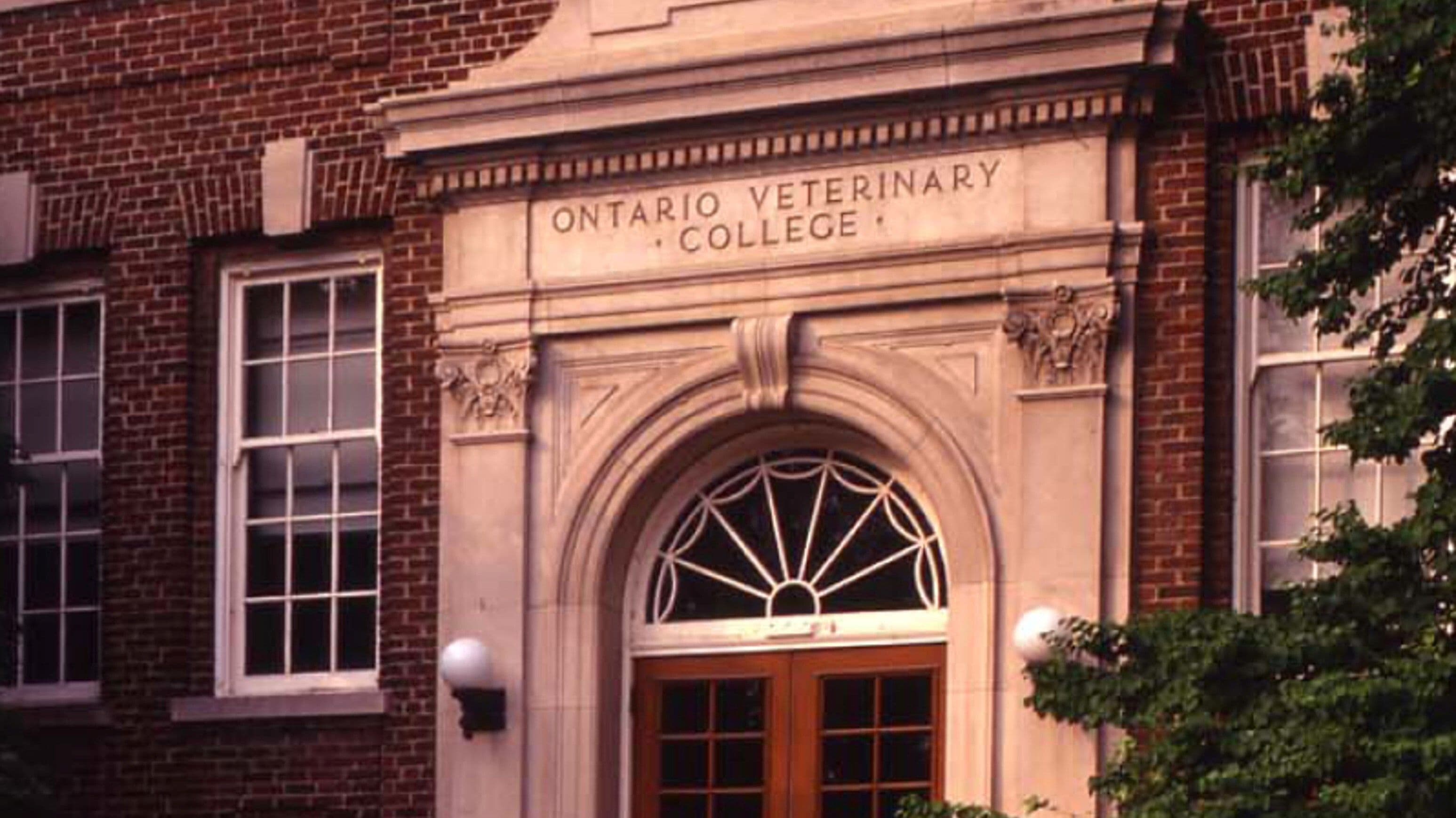 Ontario Veterinary College 900x506px