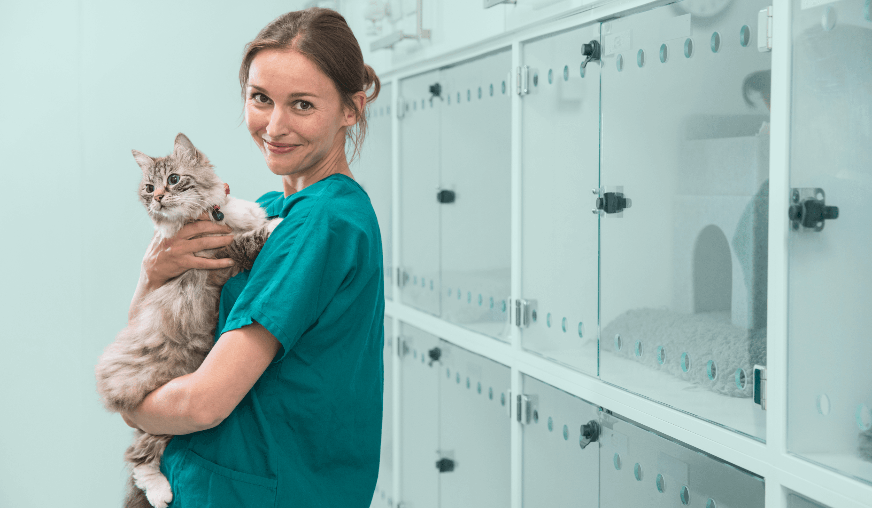 Vet tech holding cat 1030 x 630