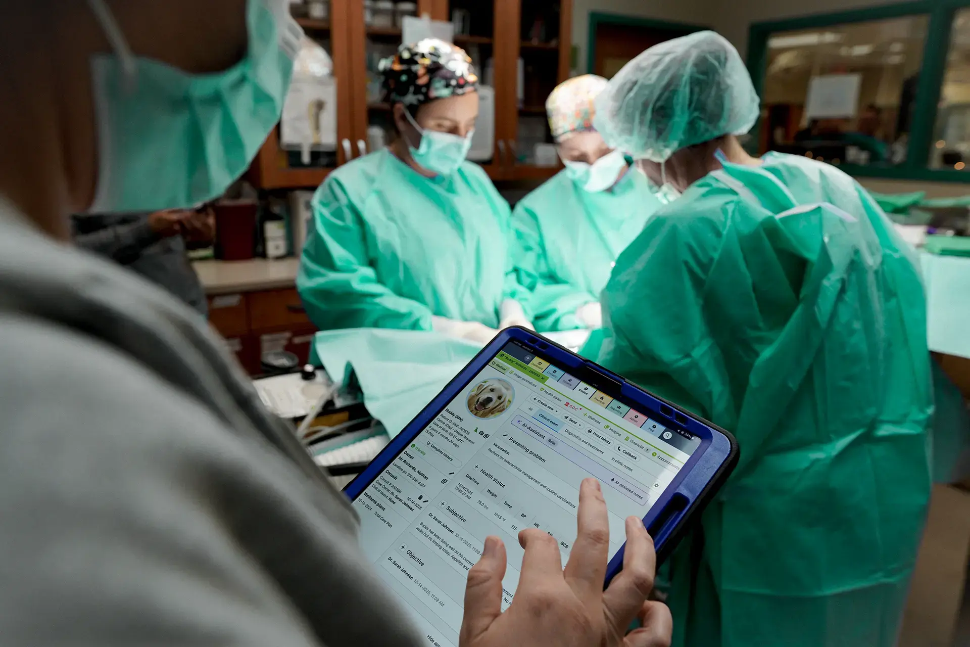 Veterinarian using ezyVet on a tablet while surgical team attends patient
