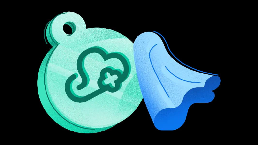 ezyVet implementation