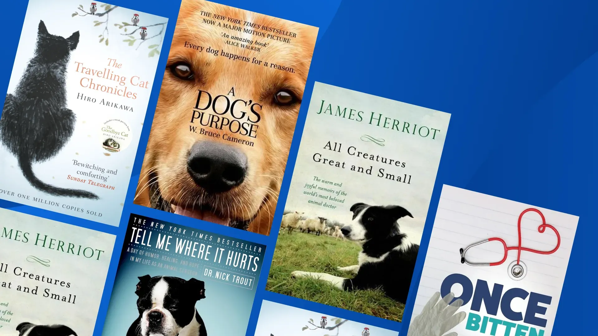 Best books for vets