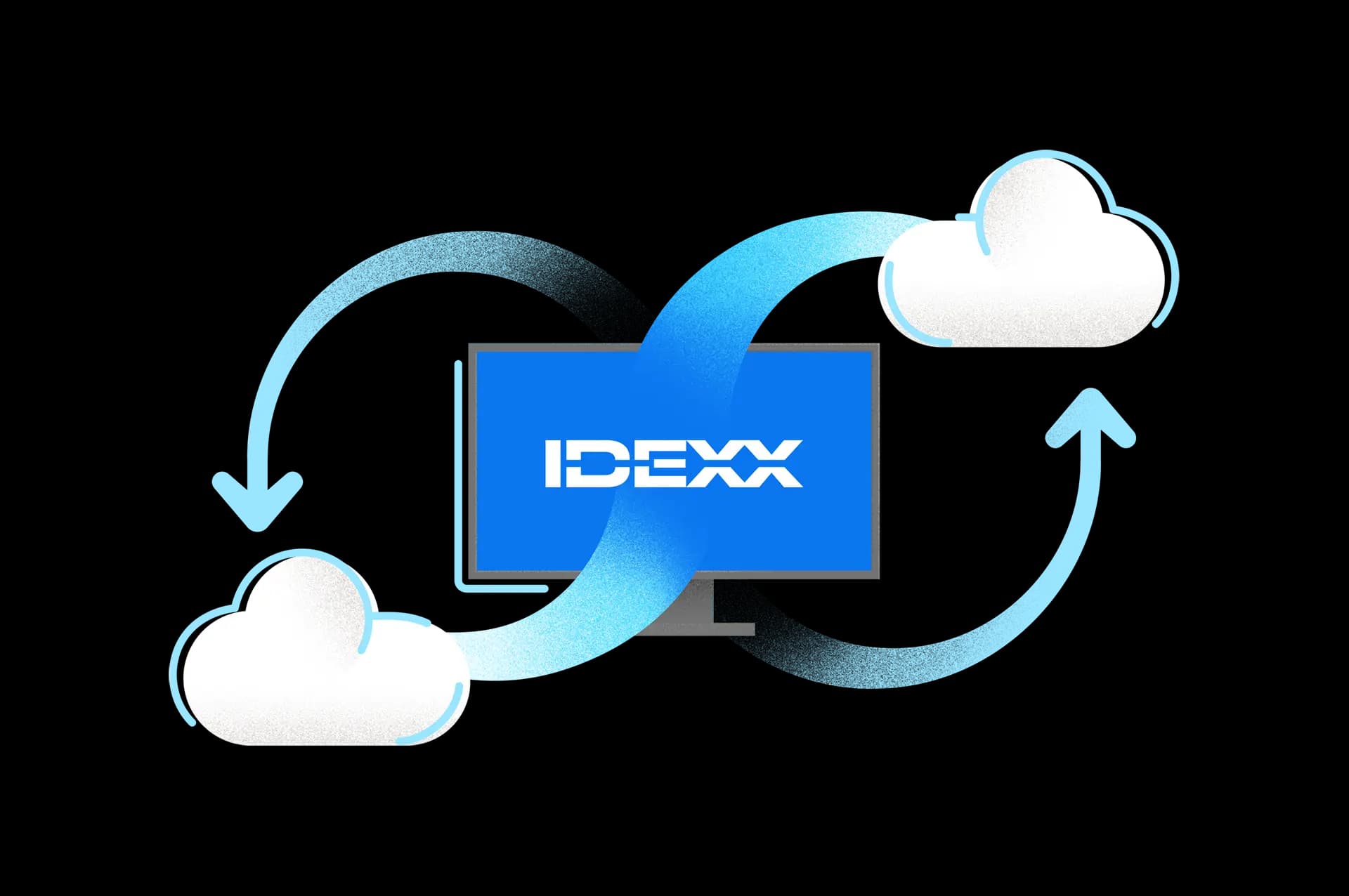 idexx software
